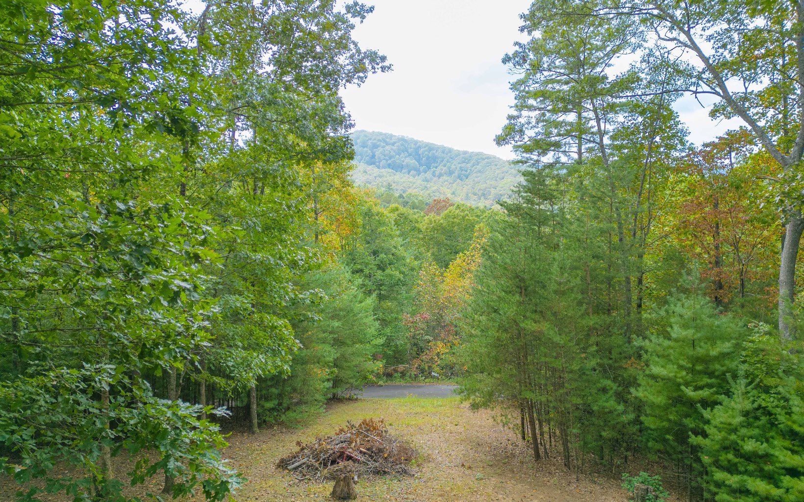 100 Cold Water Springs