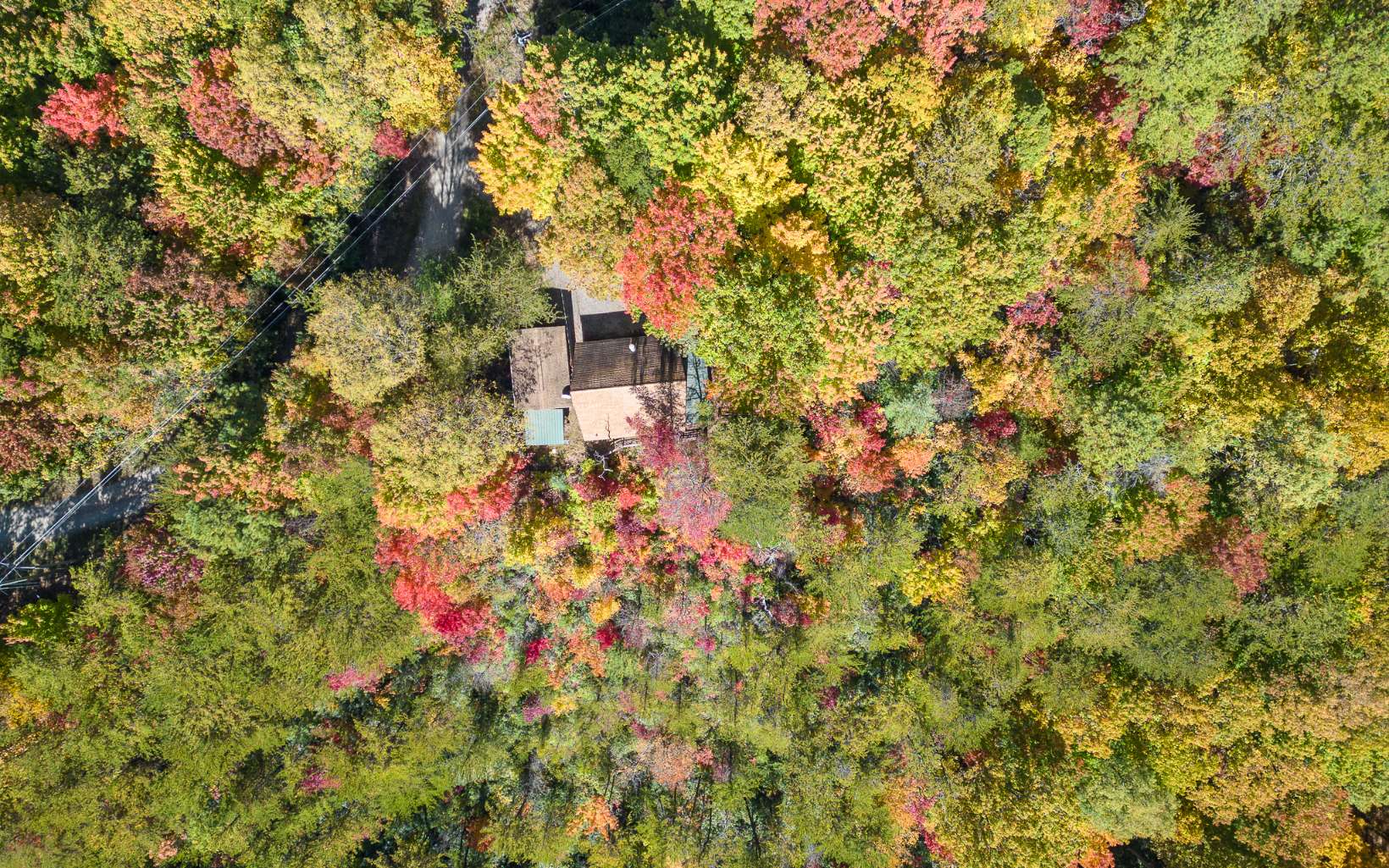 173 Ridge View Drive