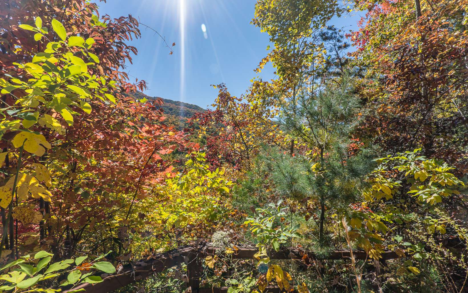 173 Ridge View Drive
