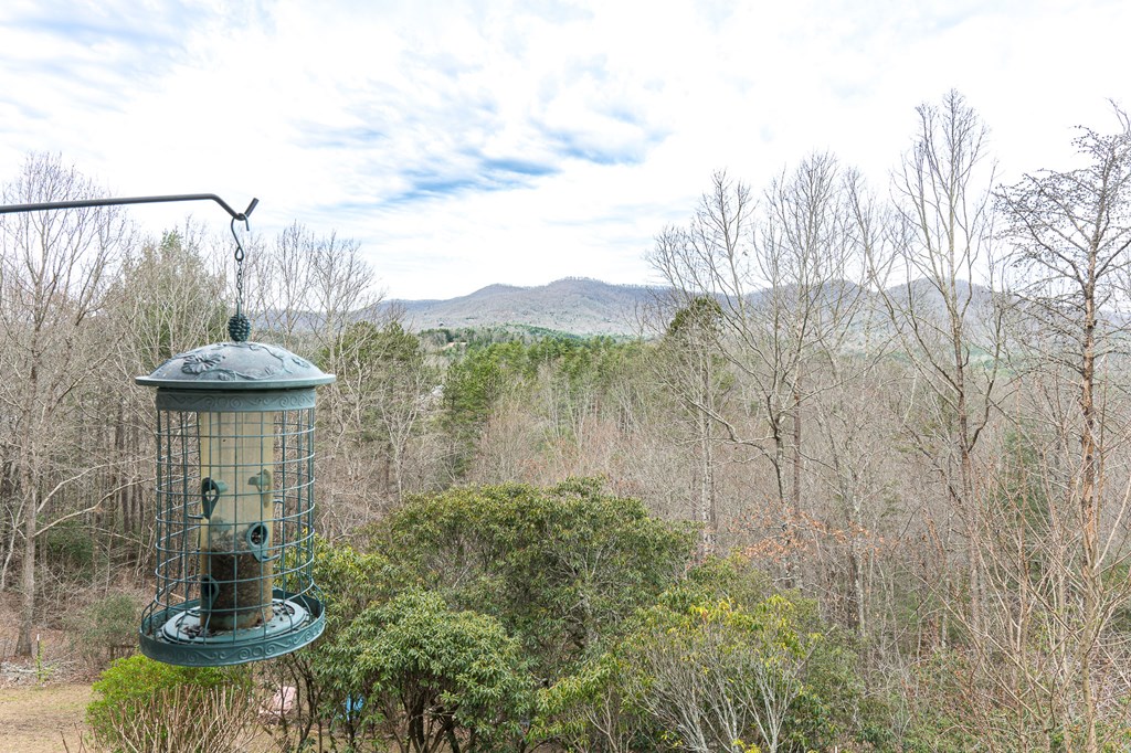 457 Persimmon Heights Road