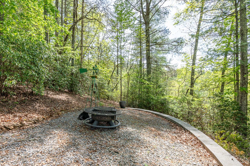 221 Trickling Branch Way