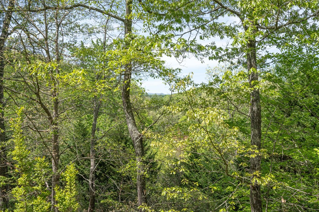 221 Trickling Branch Way