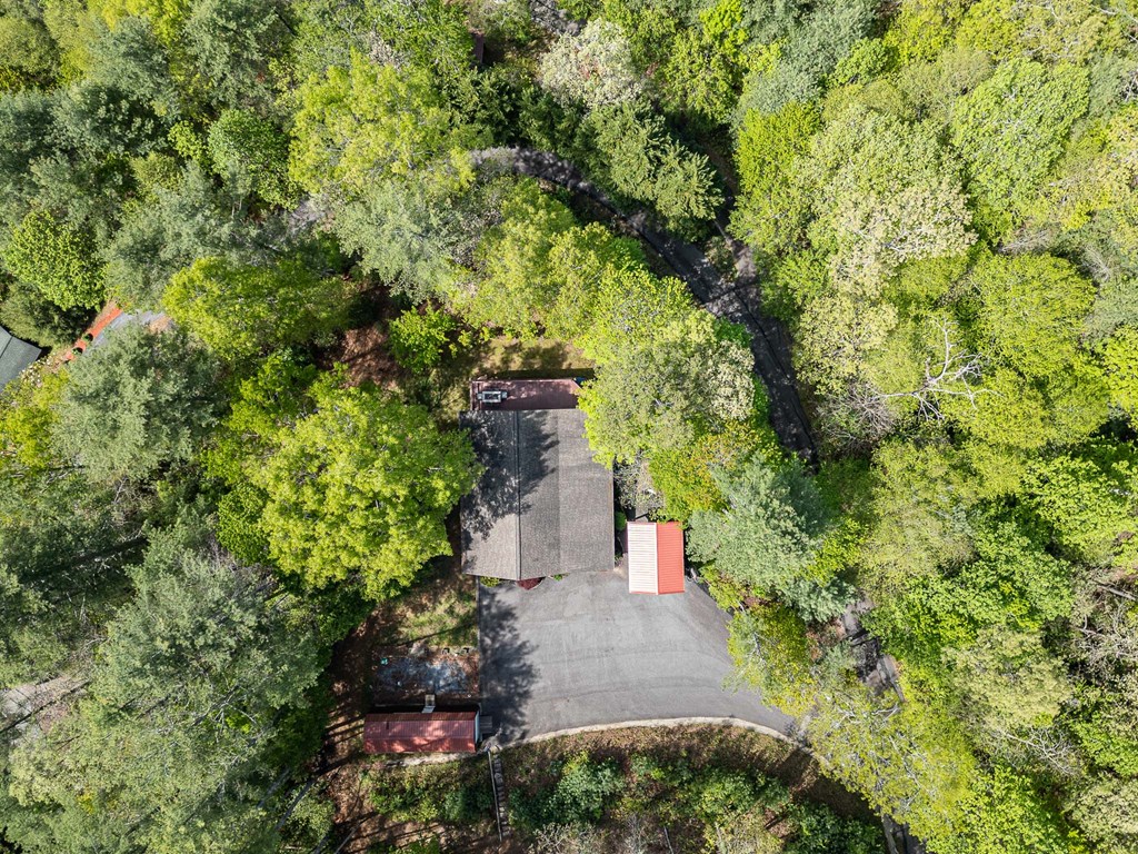 221 Trickling Branch Way