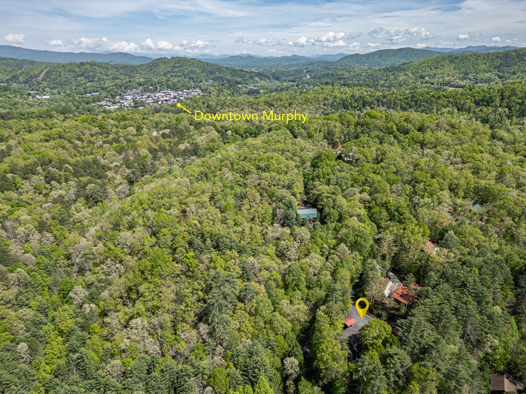 221 Trickling Branch Way