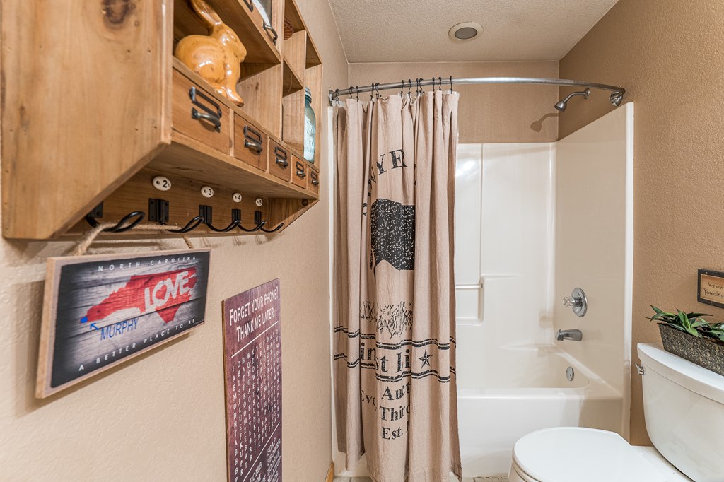 221 Trickling Branch Way