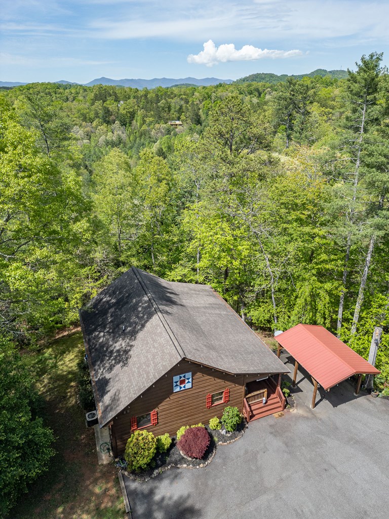 221 Trickling Branch Way