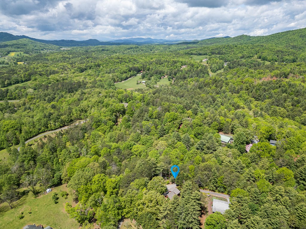 186 Brasstown Hills Road