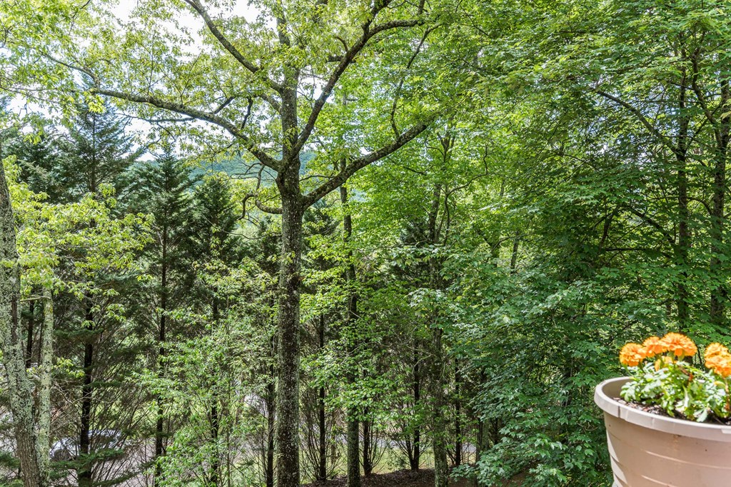 186 Brasstown Hills Road