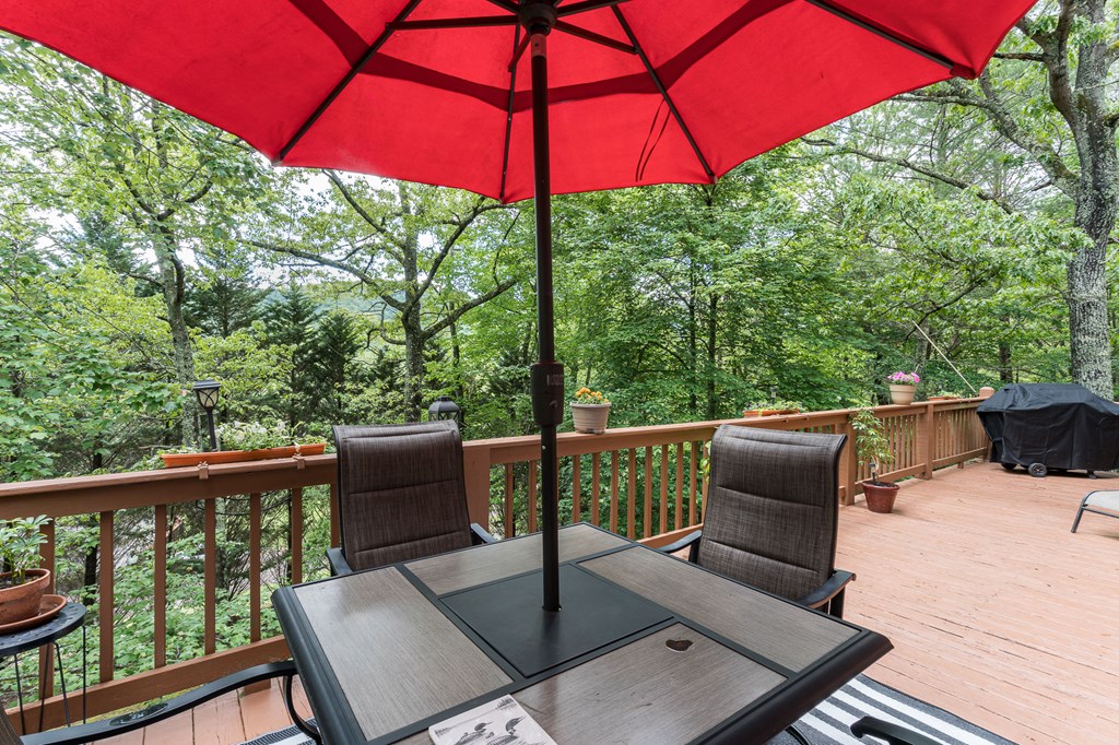 186 Brasstown Hills Road