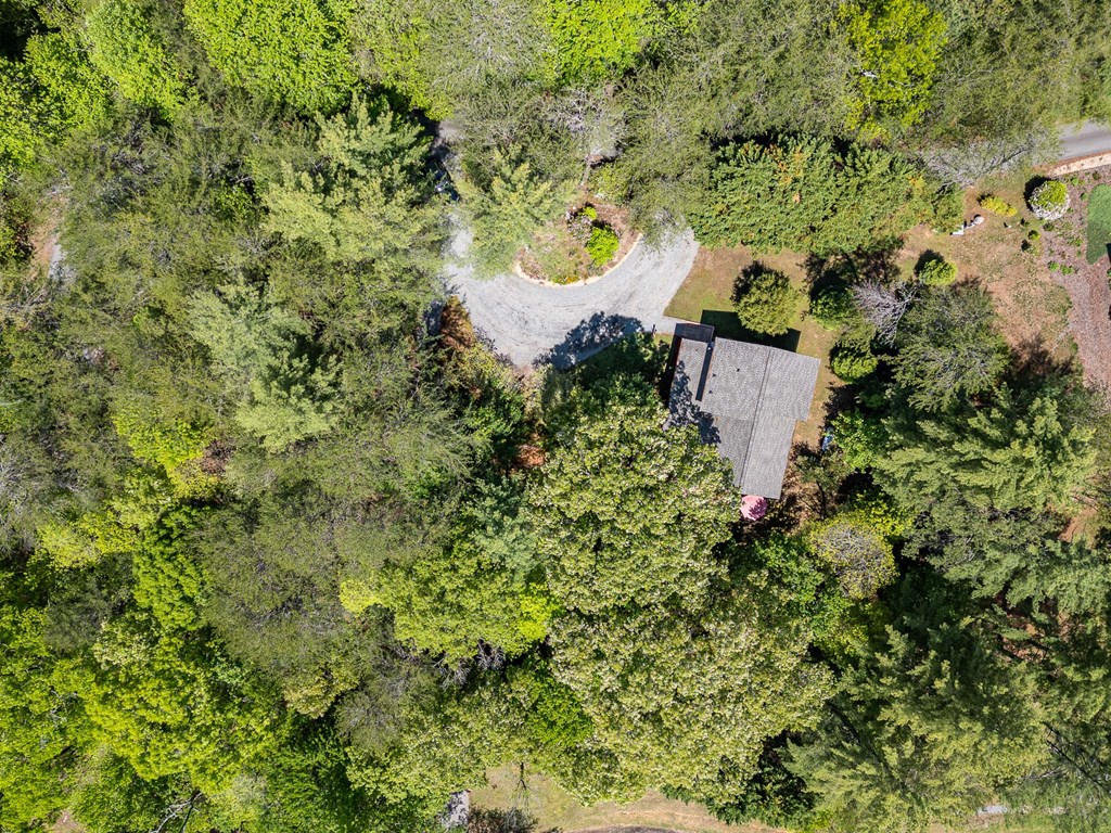 186 Brasstown Hills Road