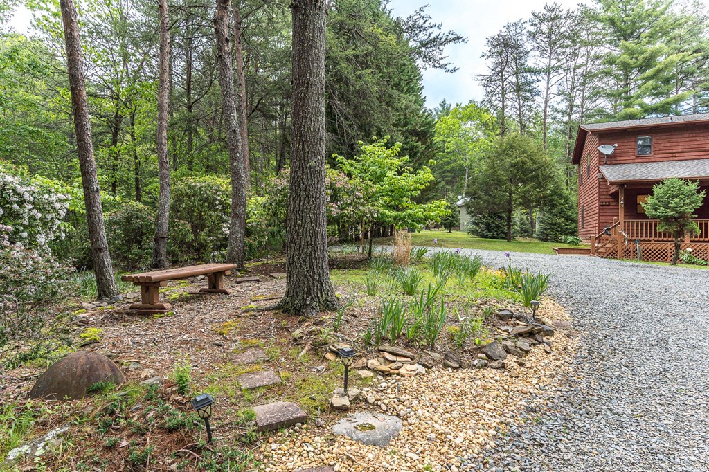 186 Brasstown Hills Road