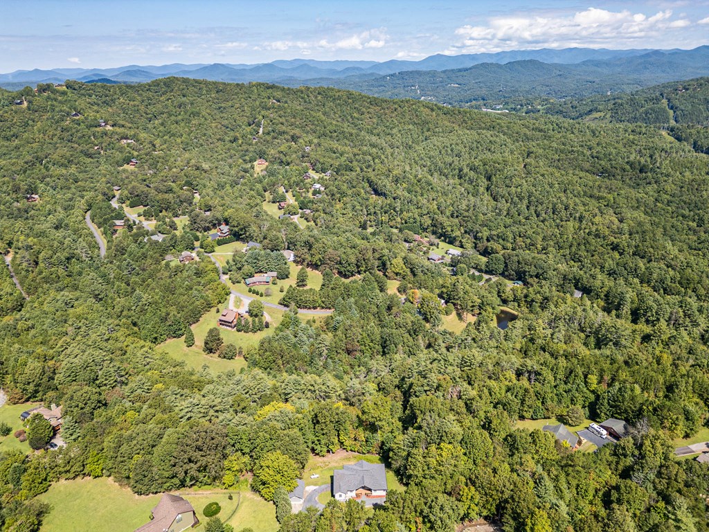 101 Hickory Nut Lane