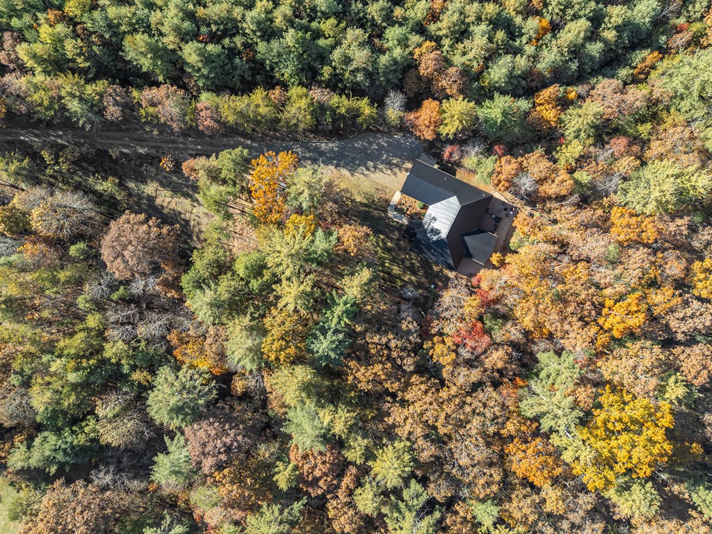 110 Rustic Pine Ridge