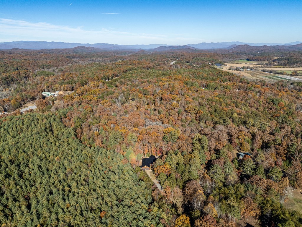 110 Rustic Pine Ridge