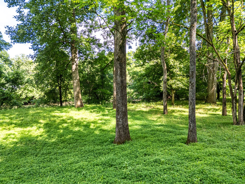 126 Remington Lane