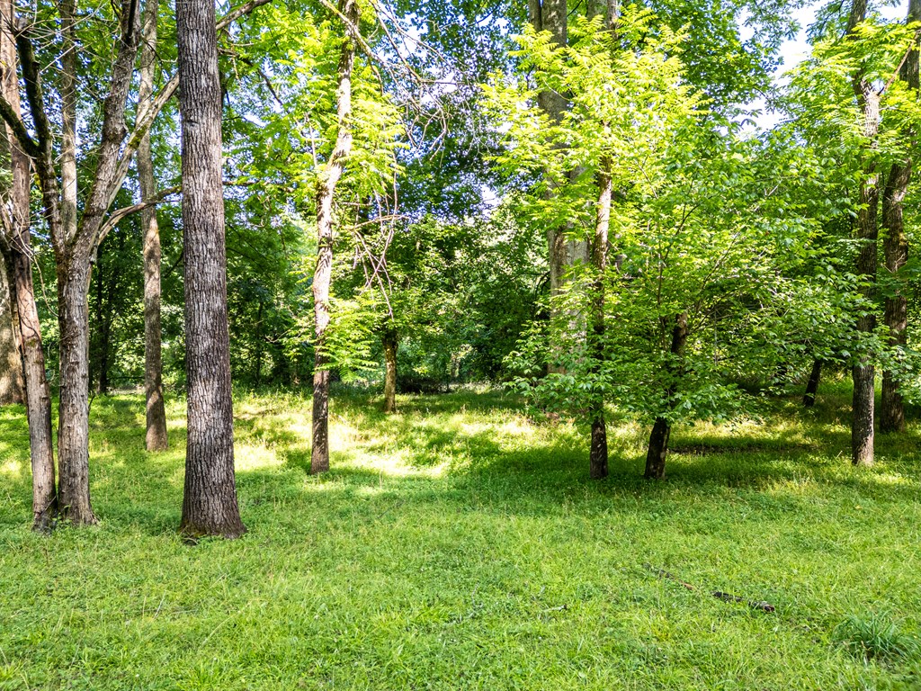 126 Remington Lane