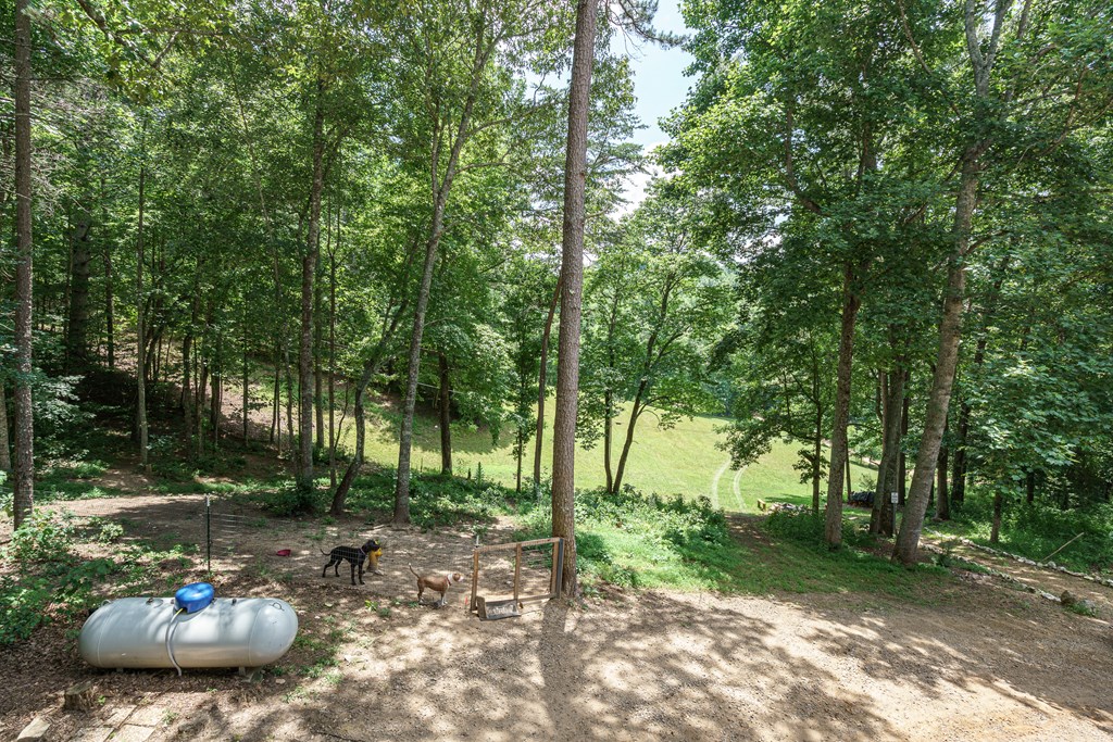 860 Holly Road