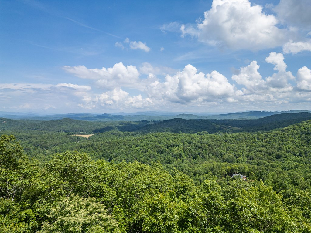 40 Reitzel Ridge Trail