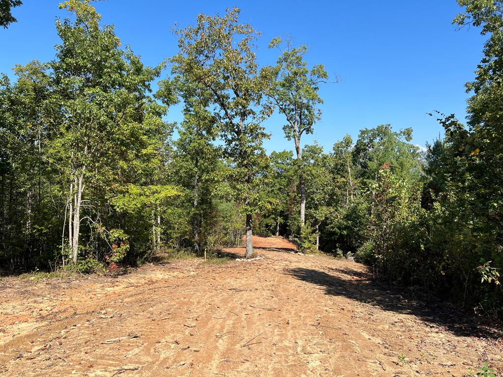 139 Hideout Lane