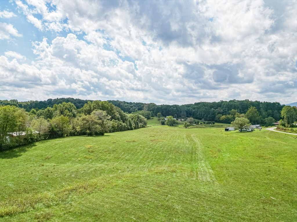 12625 NC Highway 294