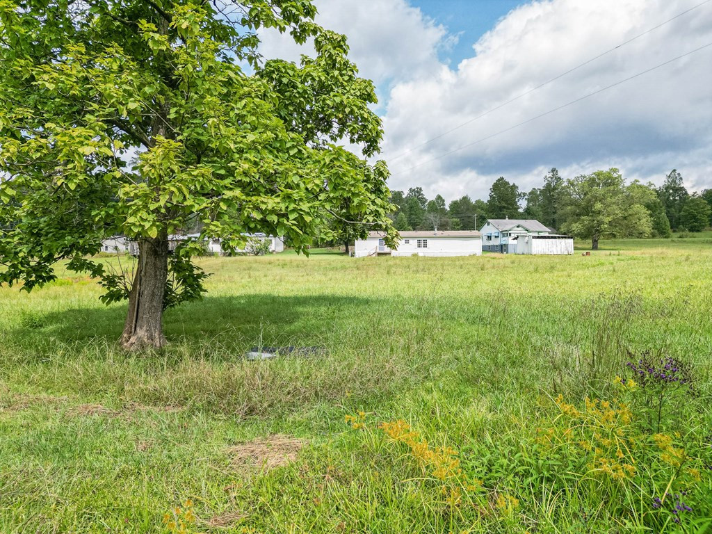 12625 NC Highway 294