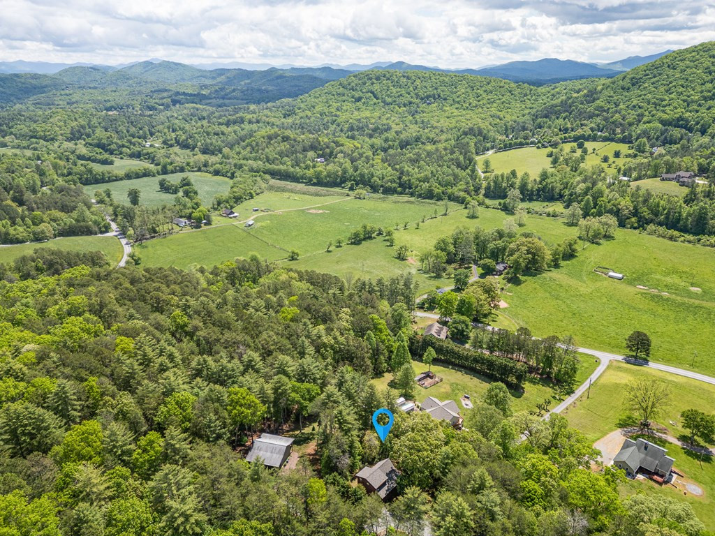 186 Brasstown Hills Road