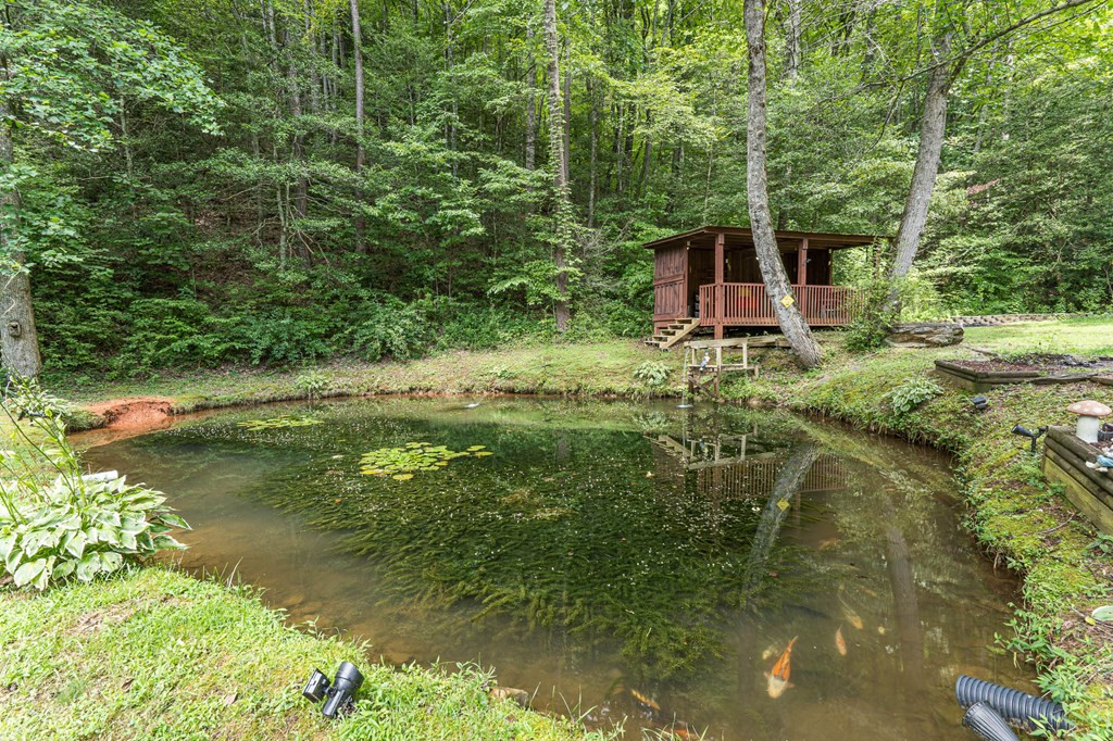 210 Pendergrass Road