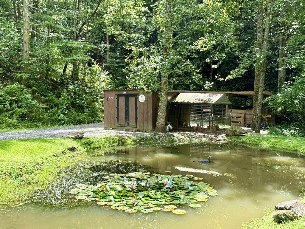 210 Pendergrass Road