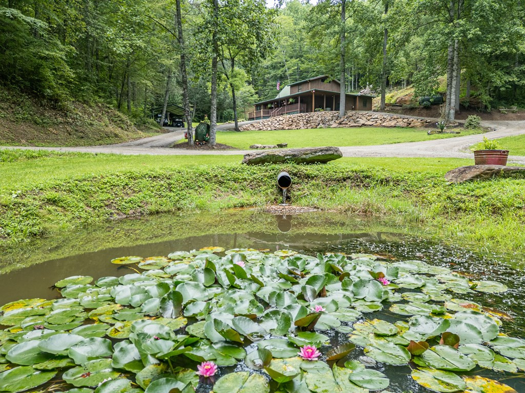 210 Pendergrass Road