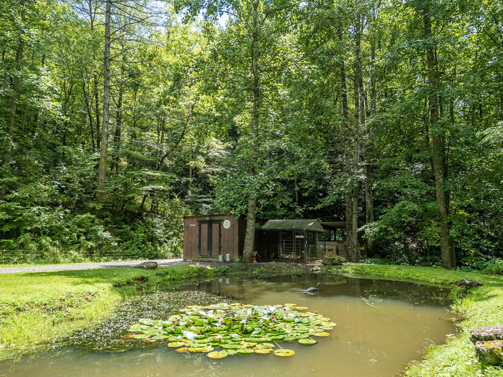 210 Pendergrass Road
