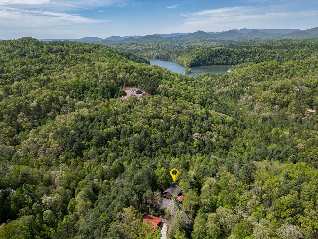 221 Trickling Branch Way