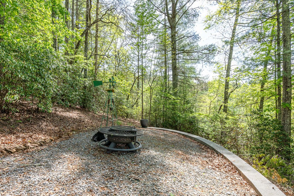 221 Trickling Branch Way