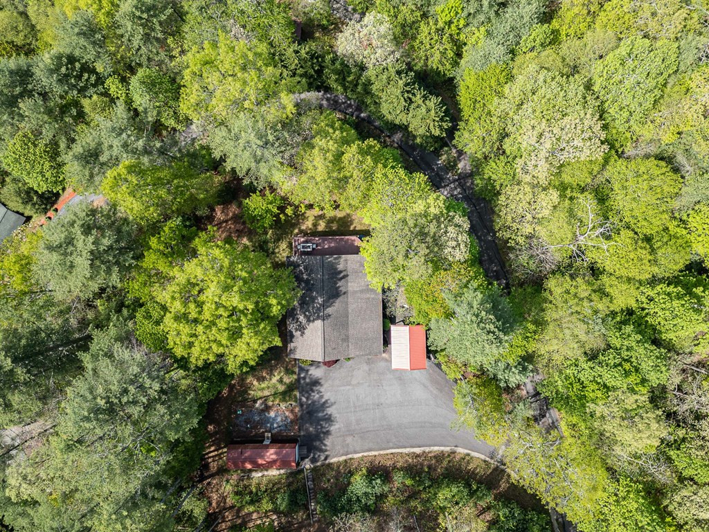 221 Trickling Branch Way