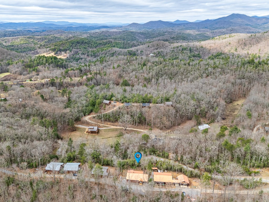 110 Sawtooth Ridge Road