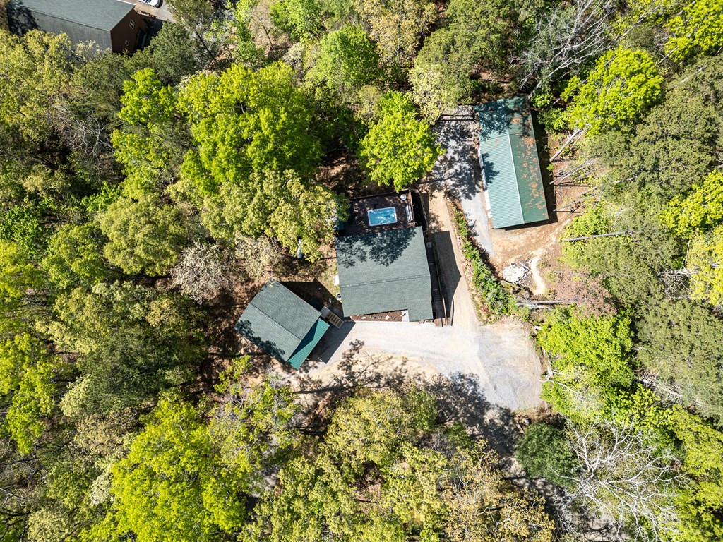 240 Amandas Way