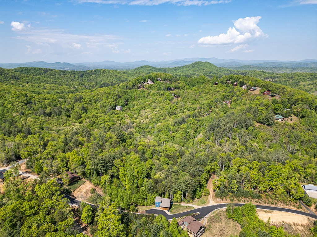604 Point Overlook Trail