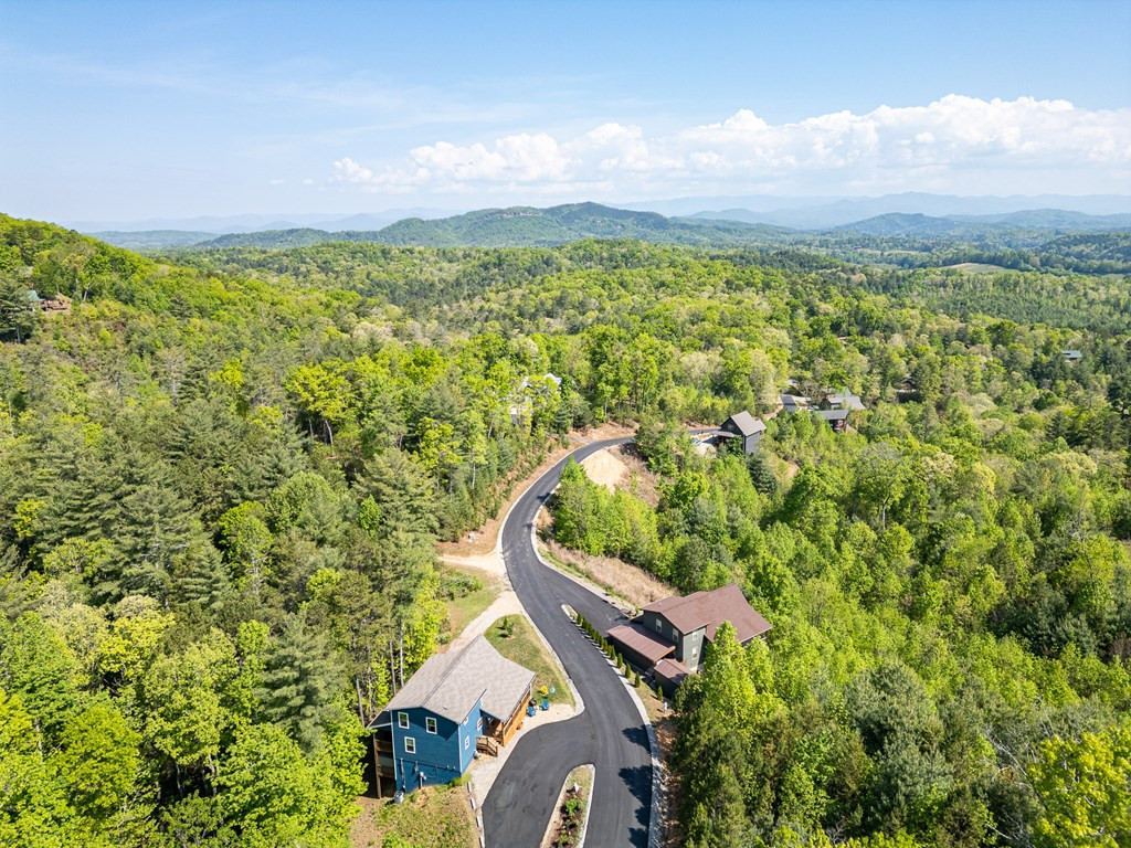 604 Point Overlook Trail