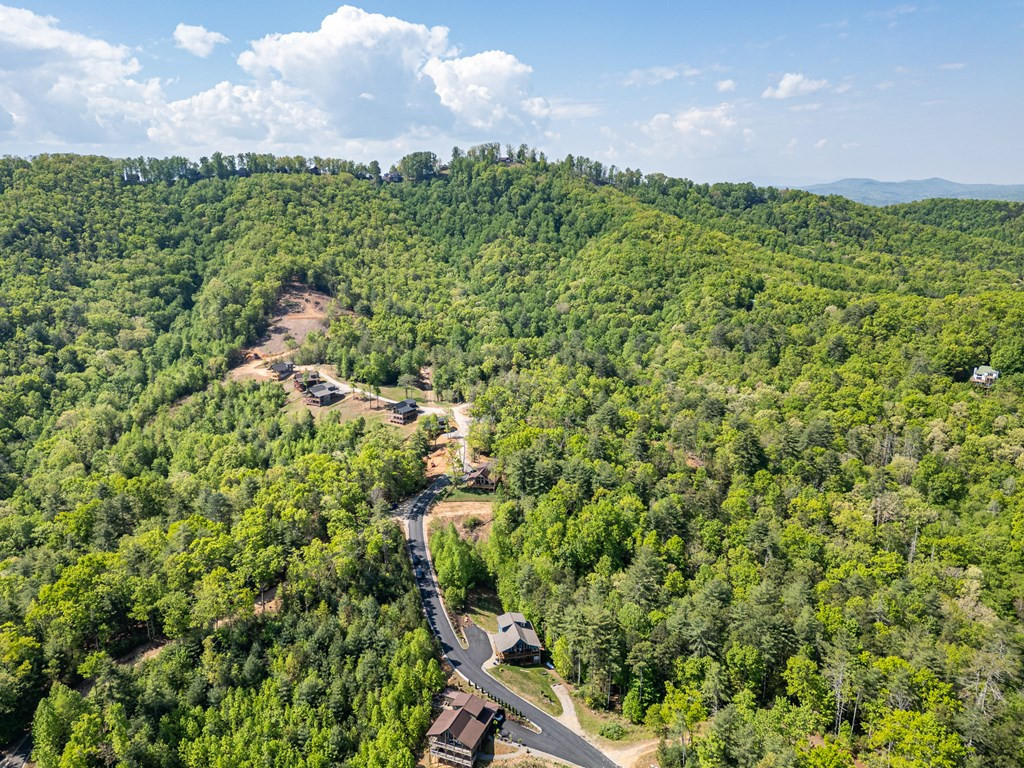 604 Point Overlook Trail