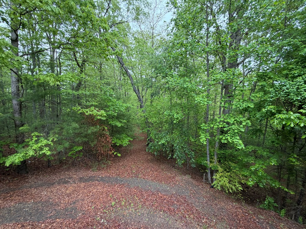5412 Martins Creek Road