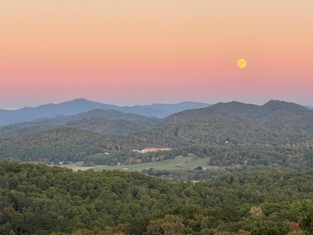 615 Sheep Knob