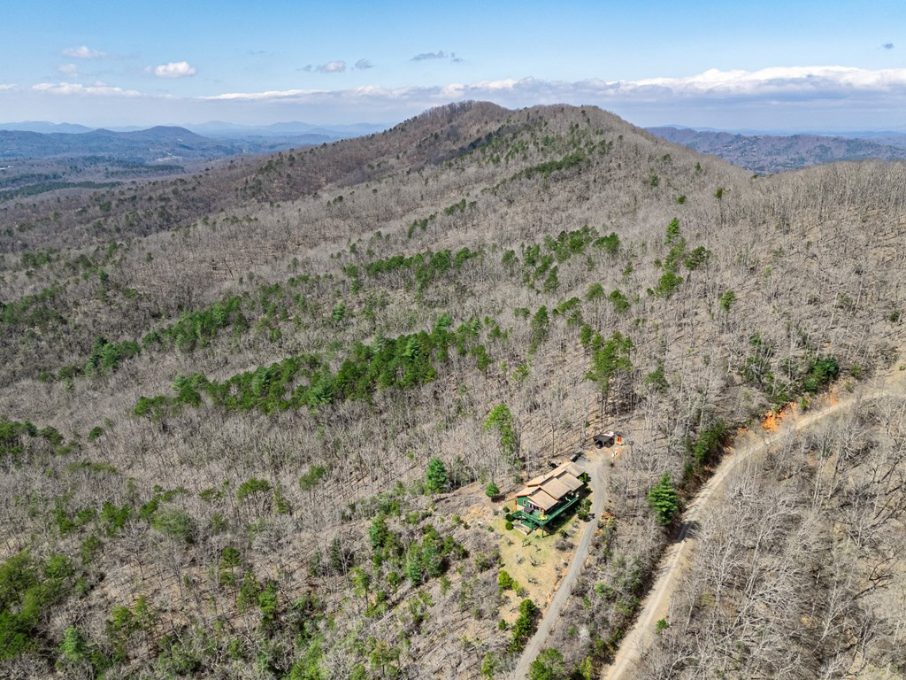 615 Sheep Knob