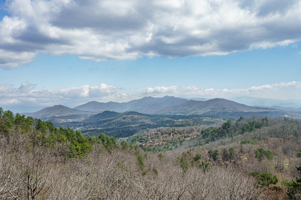 615 Sheep Knob