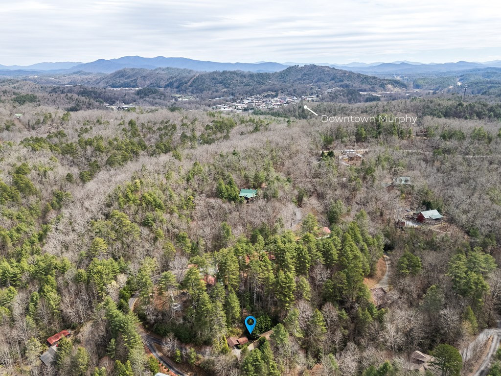325 Trickling Branch Way