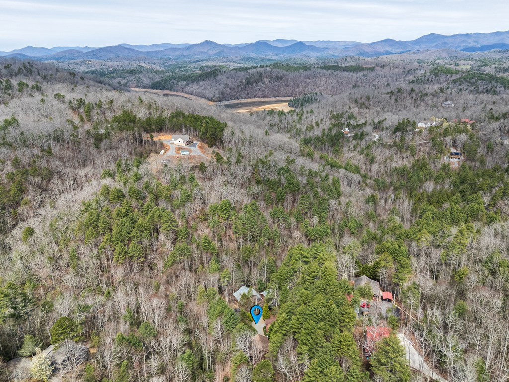 325 Trickling Branch Way