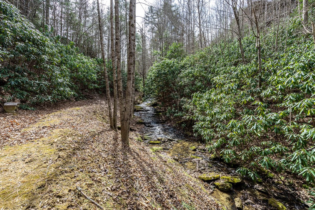 325 Trickling Branch Way