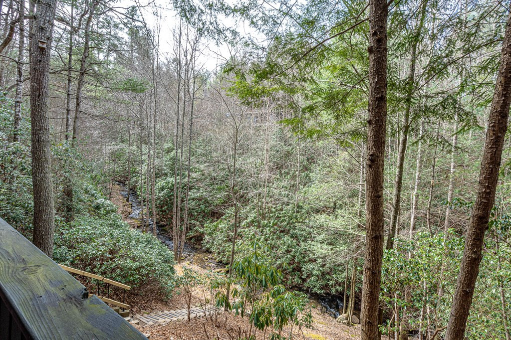 325 Trickling Branch Way