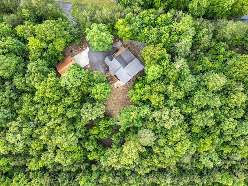 104 Hickory Nut Lane