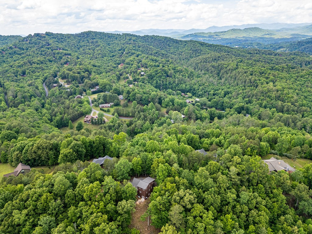 104 Hickory Nut Lane