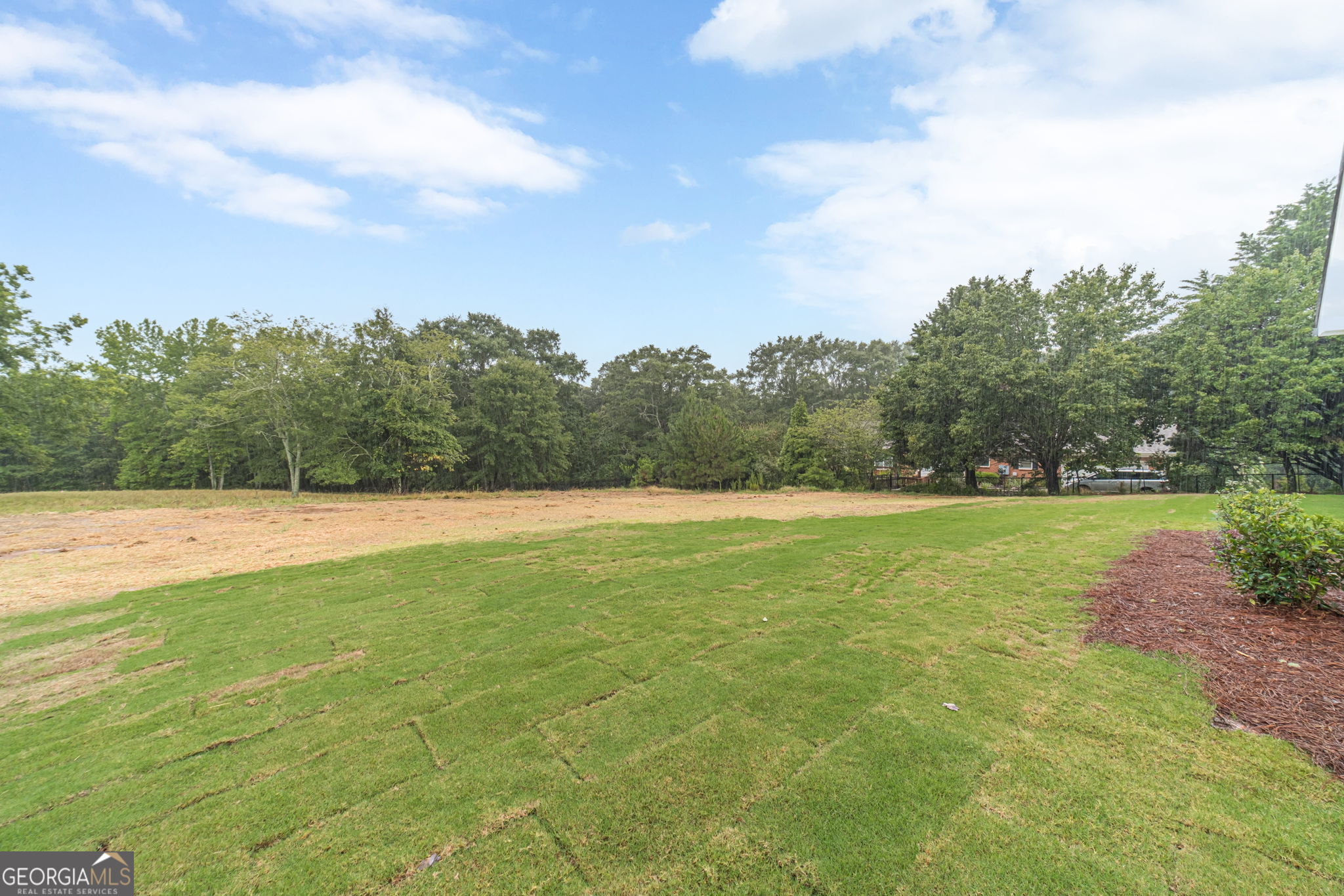 1300 Grapevine Trail