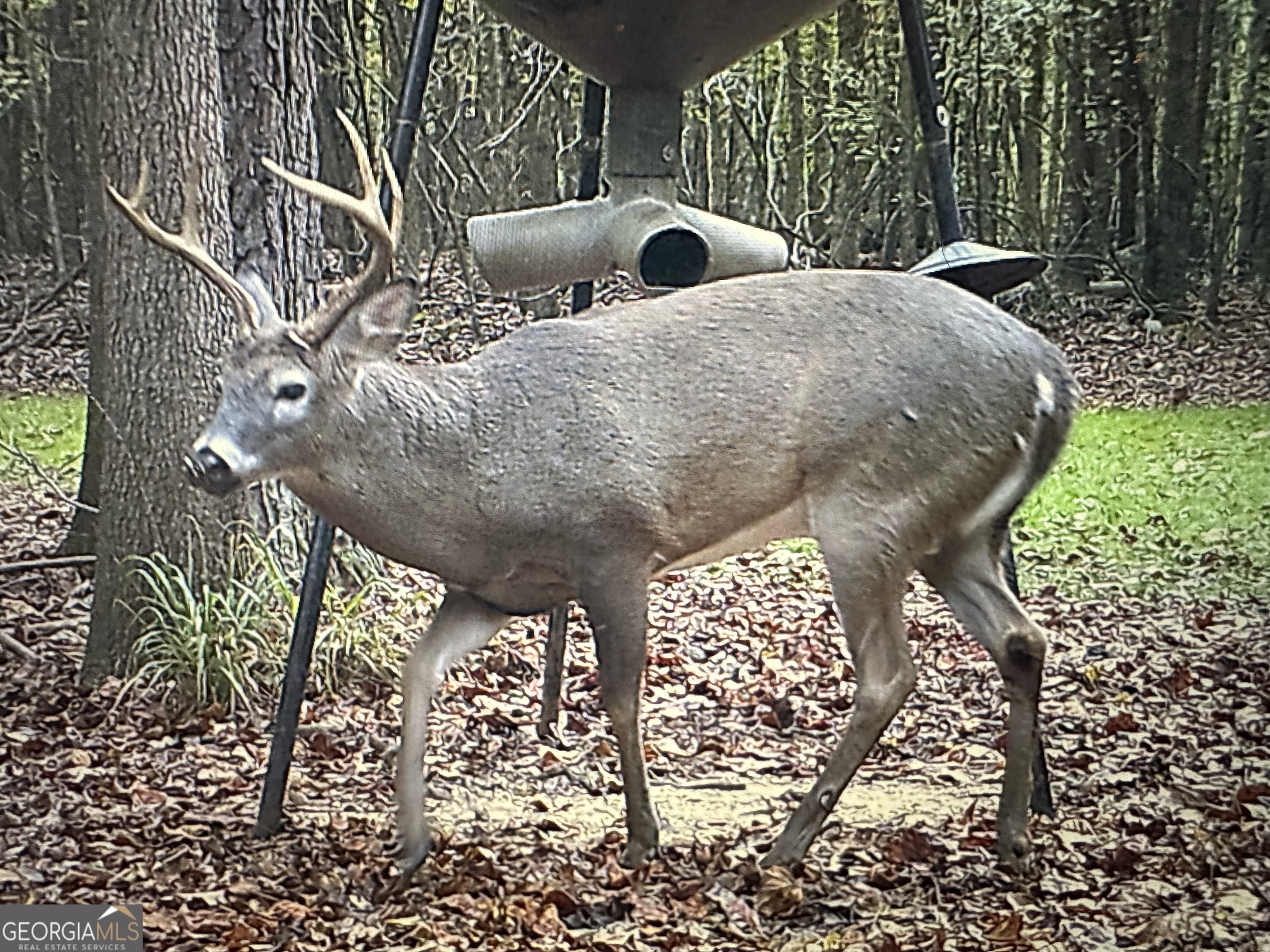 1050 Cedar Grove Drive